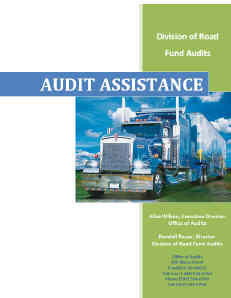 Link to Audit Assistance Manual