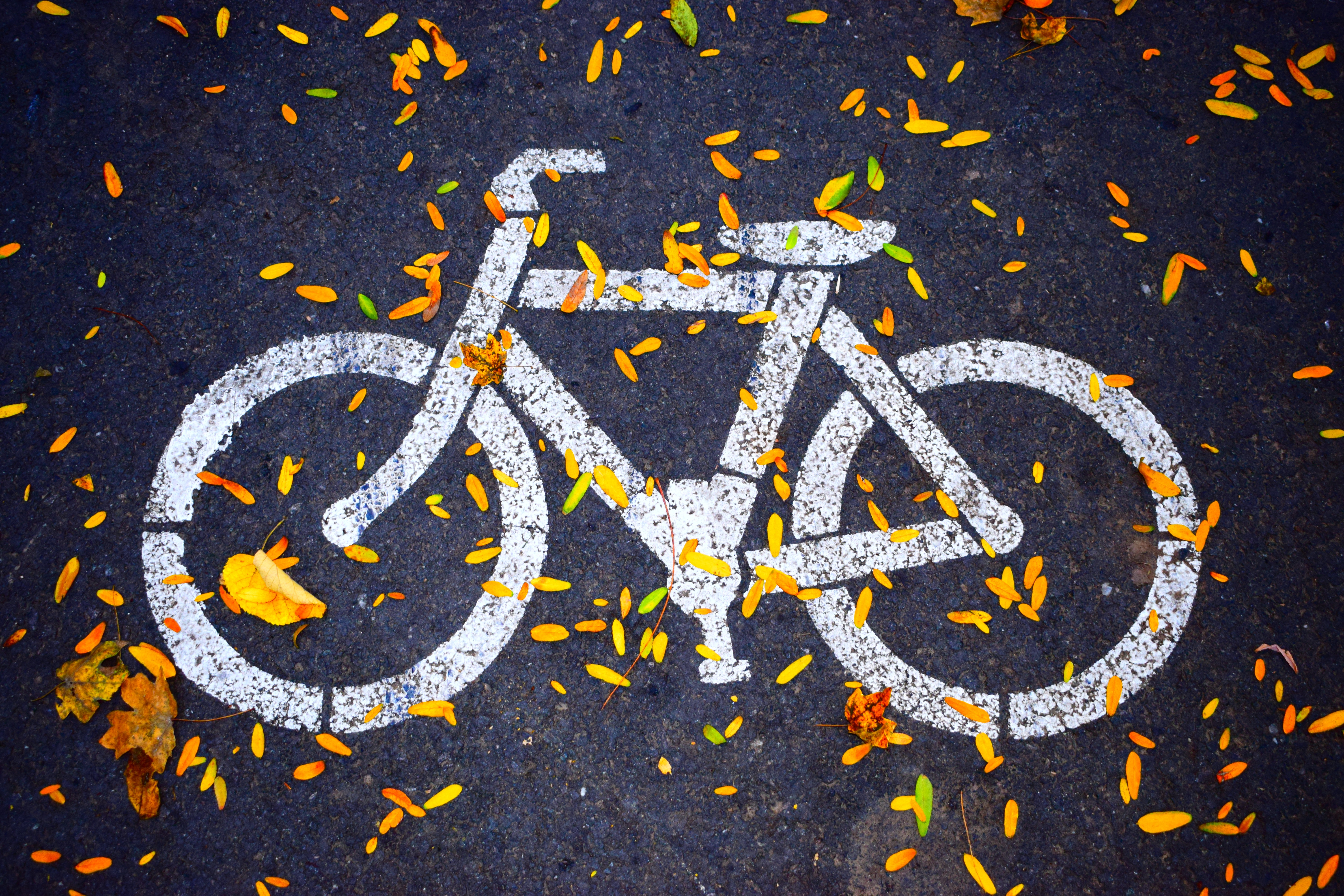 Bicycle marking on roadway