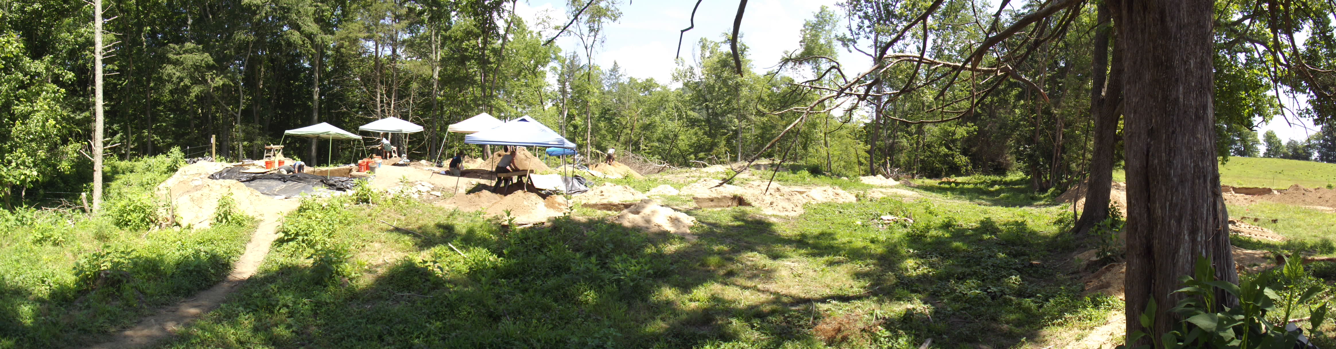 Archaeology Dig Site