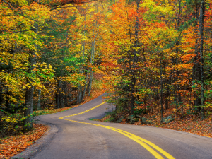 Local Roads (Previously County Rural Aid)