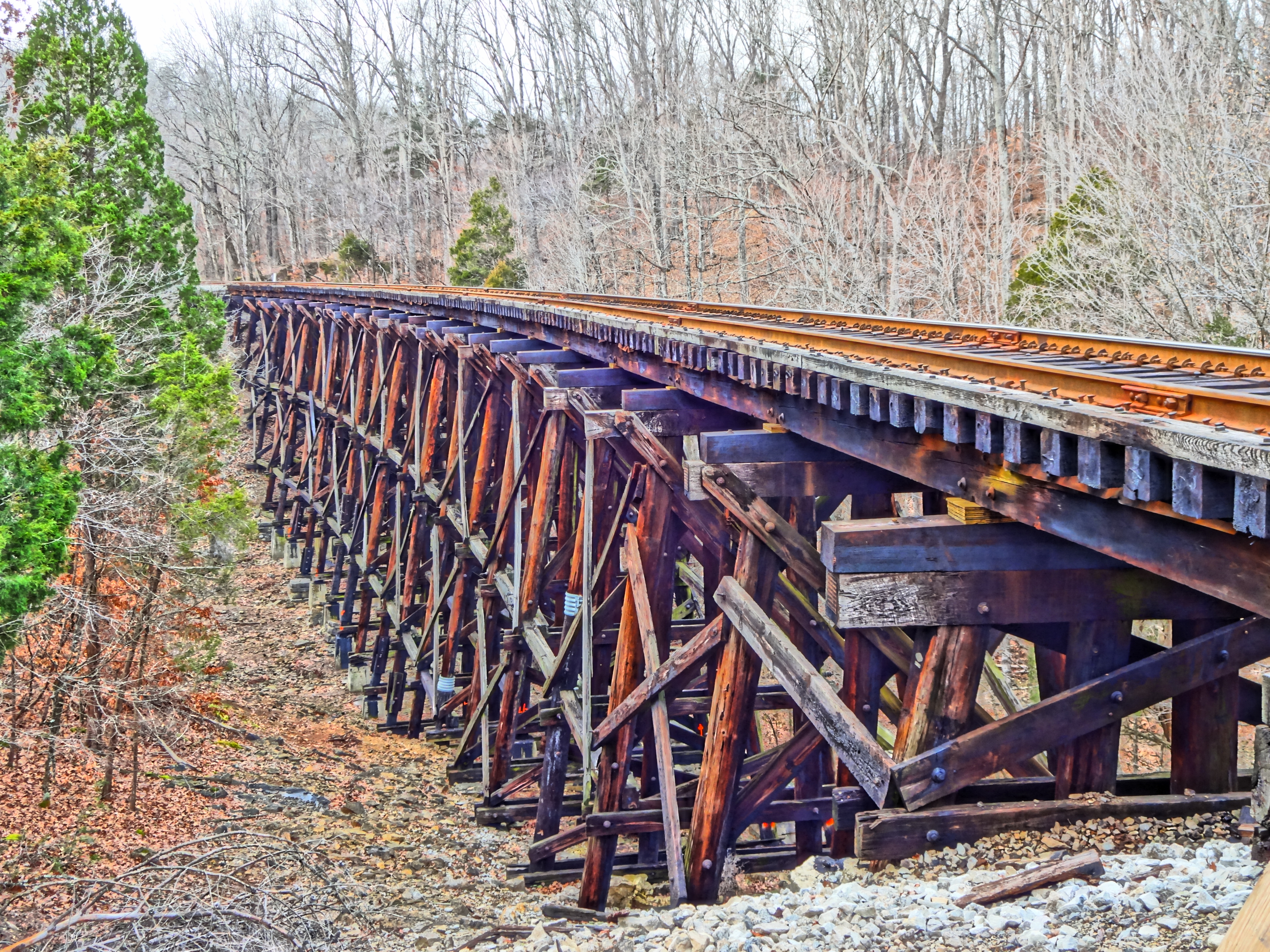2025 SRP Main Photo.JPG